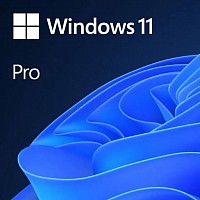 Windows Reinstalls $120